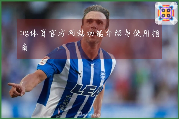ng体育官方网站功能介绍与使用指南