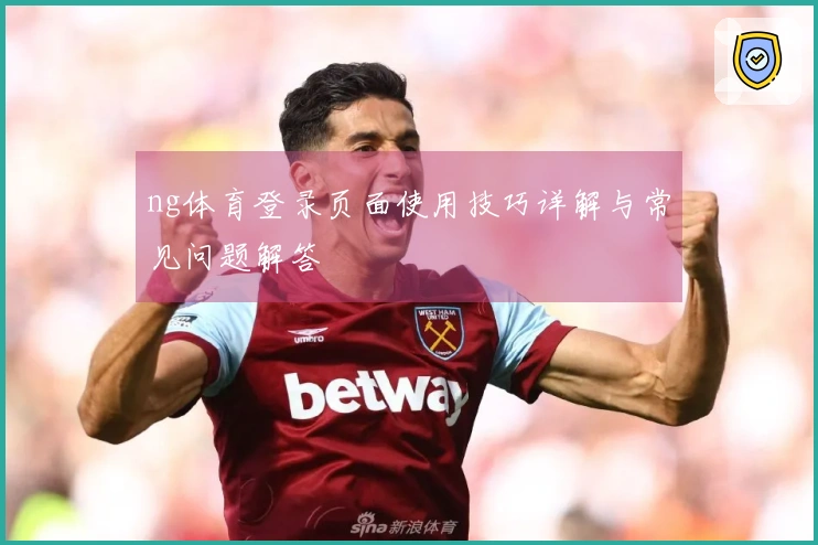 ng体育登录页面使用技巧详解与常见问题解答