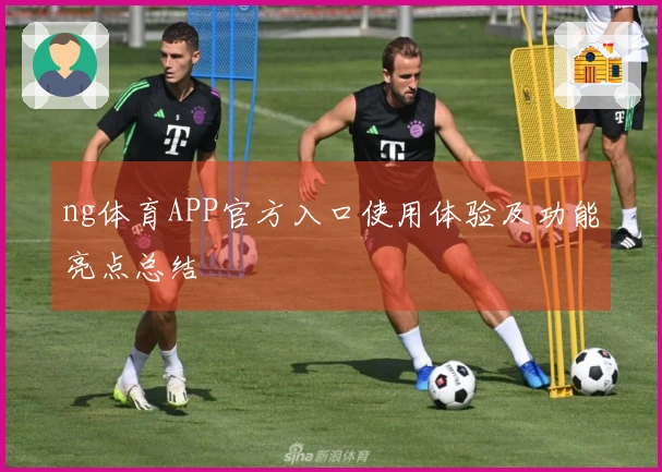 ng体育APP官方入口使用体验及功能亮点总结