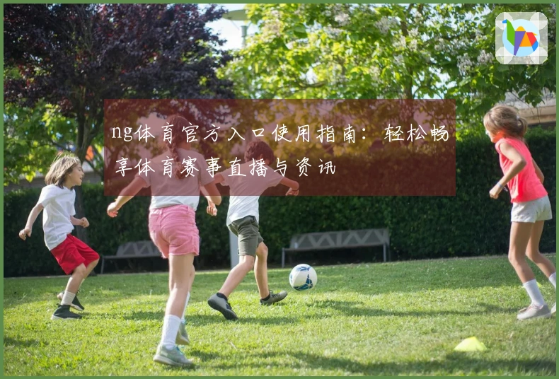 ng体育官方入口使用指南：轻松畅享体育赛事直播与资讯