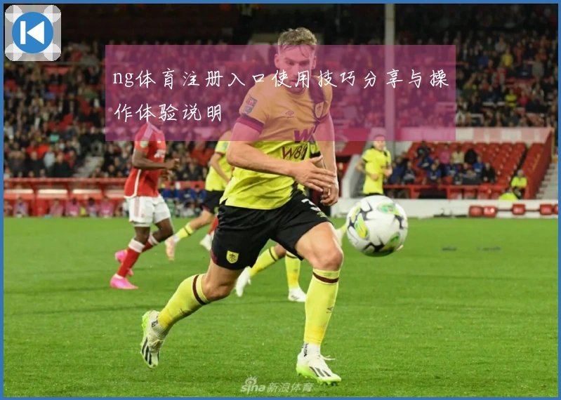 ng体育注册入口使用技巧分享与操作体验说明