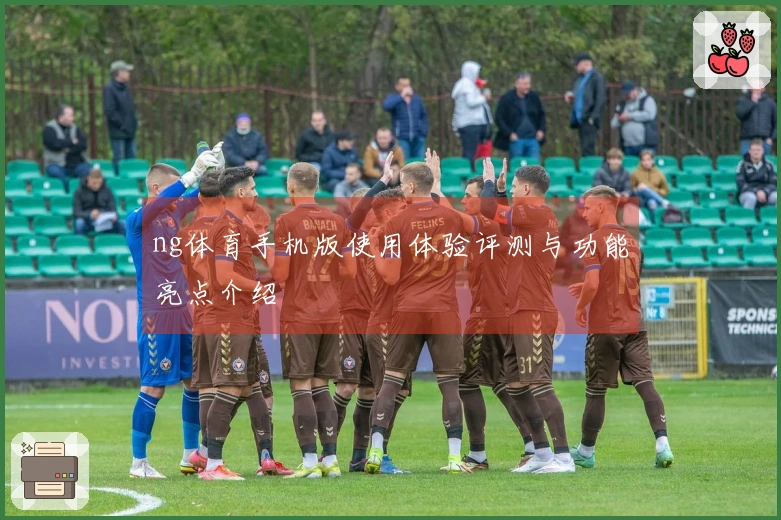 ng体育手机版使用体验评测与功能亮点介绍